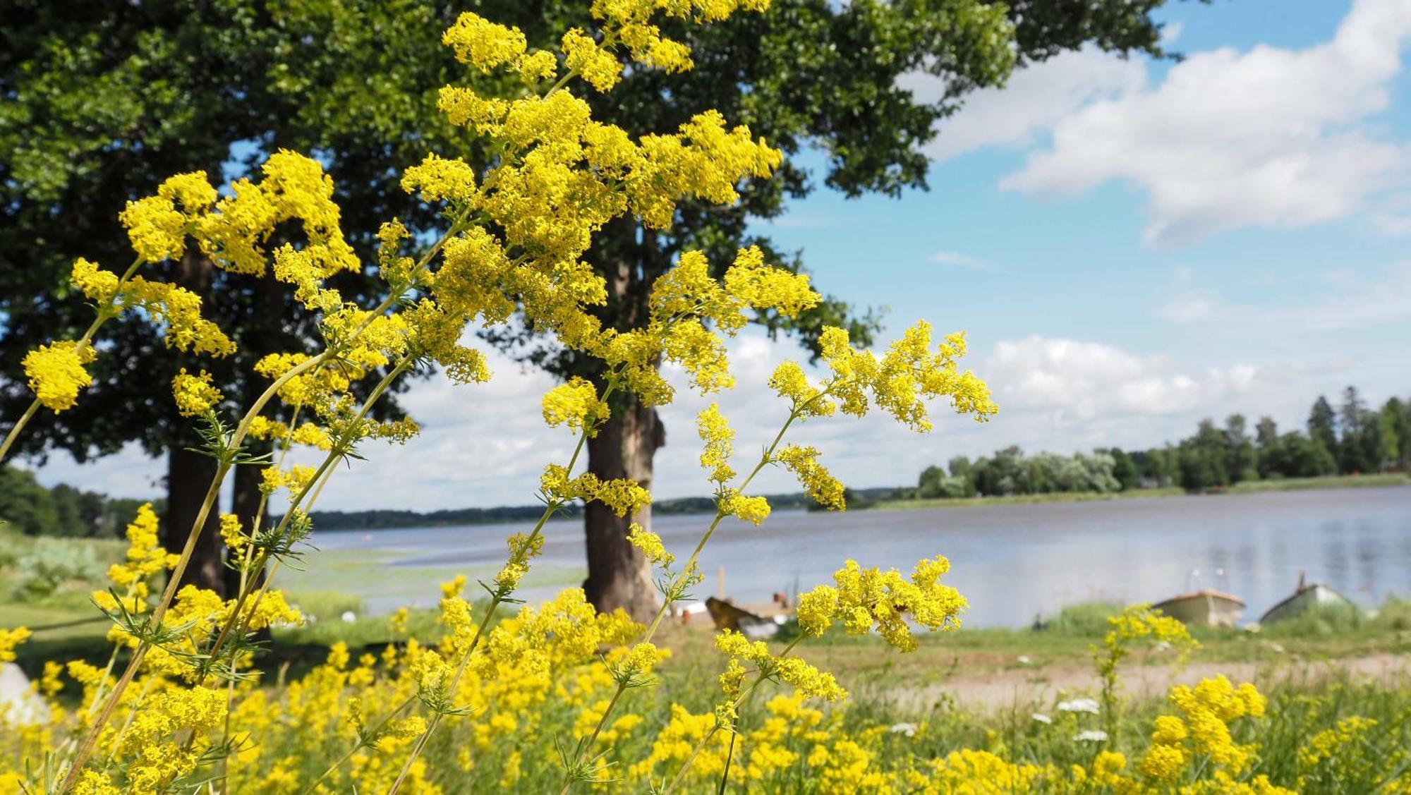 Komplett Laegenhet Med Sjoeutsikt Malmon Bagian luar foto